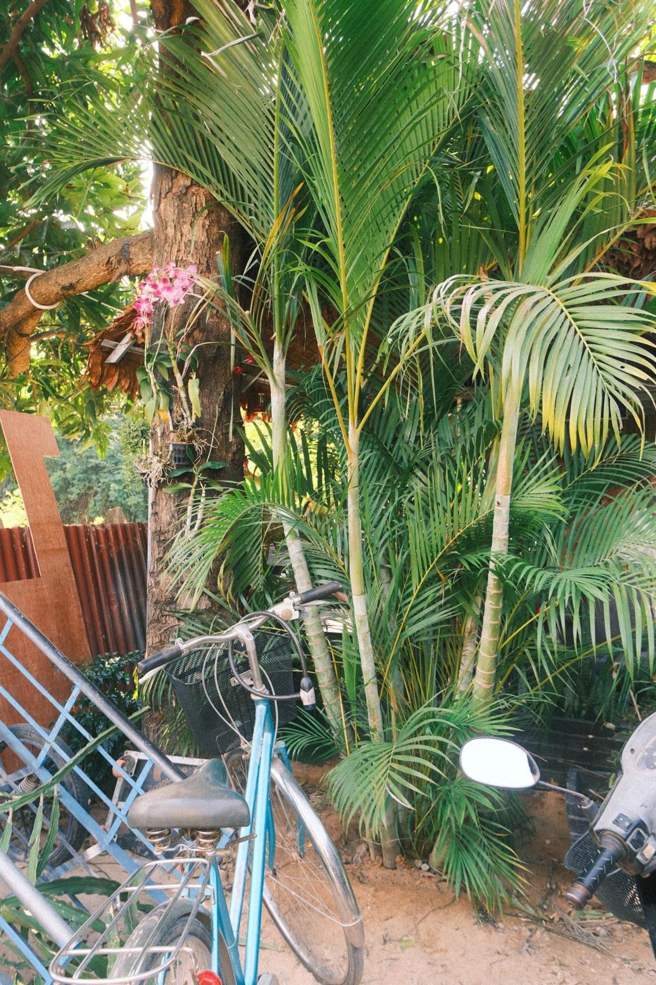Siem Reap Homesteading II Exteriör bild